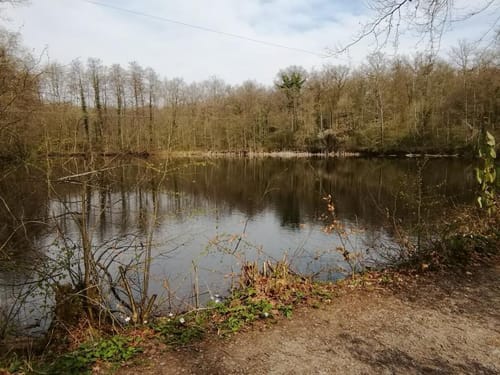 Illingen - Klostersee - Burgberg