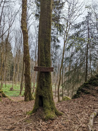 Bergmähwiesenpfad (Premiumwanderweg)