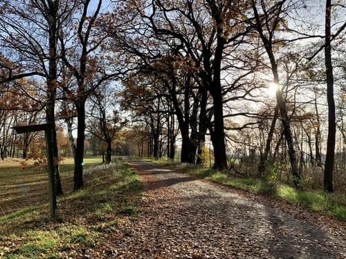 Heide-Teichlandschaft