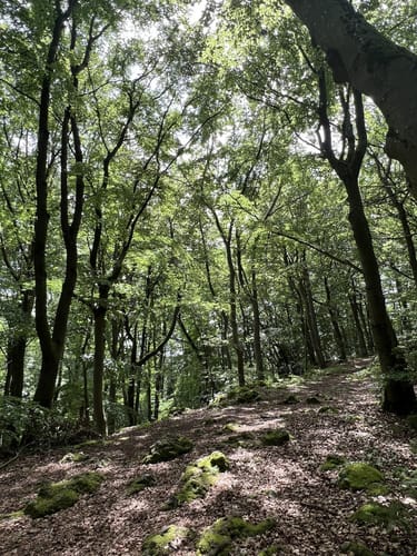 Illschwang zum Osterloch