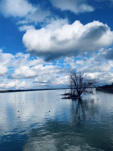 Moosburger Stausee Rundweg