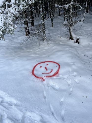 Klingelfloß (Traumschleife)