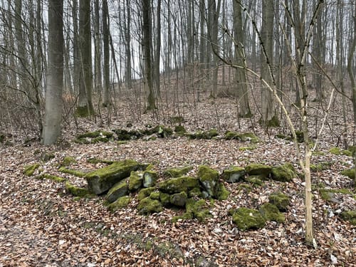 Um den Klauskopf (Naturparkweg 2)