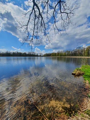 Heide-Teichlandschaft