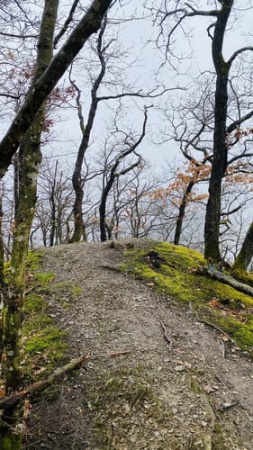 Murscher Eselsche (Traumschleife)