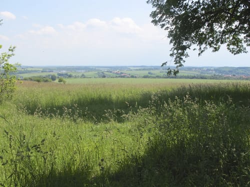Crimmitschau Rundgang