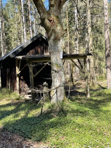 Durchs Mühllohbachtal