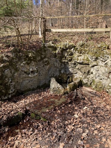 Von Altsteußlingen zum Blauen Steinbruch
