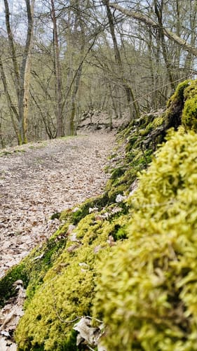 Dünnbach-Pfad (Traumschleife)