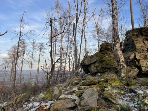 Aus Sora zum Mönchswalder Berg