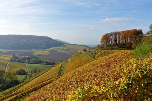 Castell - Wiesenbronn Rundweg