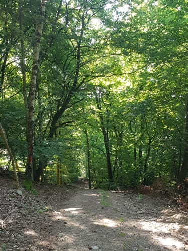 Rund um den Rettershof (Weg 8)