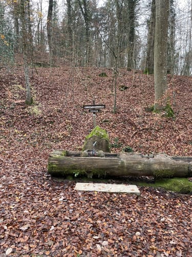 Müllheim - Eichwald - Vögisheim
