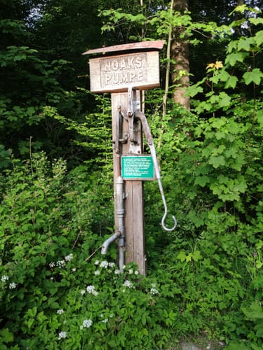 Buchen-Wildnis-Pfad (Naturerbe Wanderwelt Altenbeken)