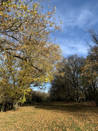 NaturTour Nidda (Premiumwanderweg)