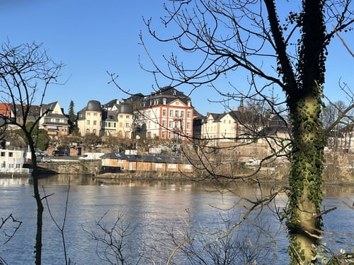 Durch die Schwanheimer Düne