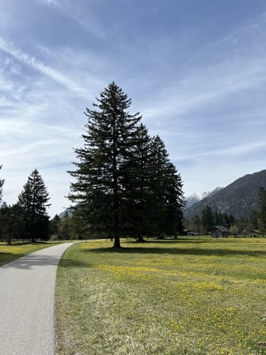 Wandern im ZugspitzLand - Röhrlebach - Ursprünge - Farchant