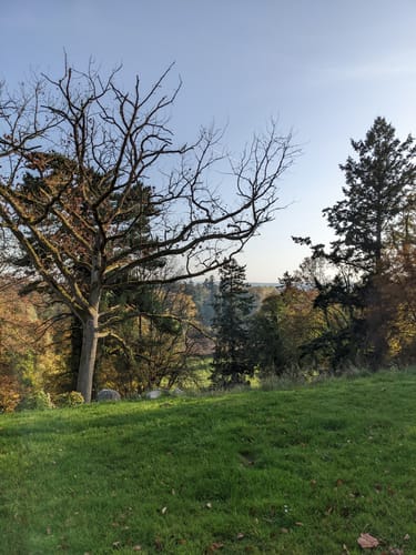 Burg Schlitz und Rötelberg