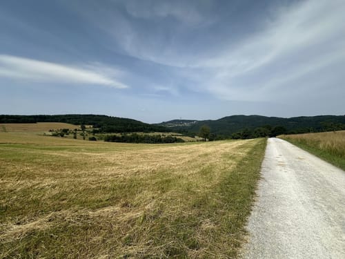 Um den Atzelberg