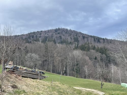Muckenthal: Feuersalamander-Tour