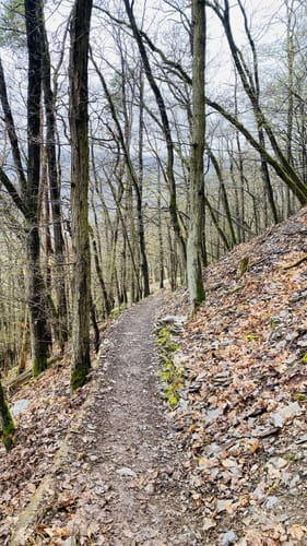 Murscher Eselsche (Traumschleife)
