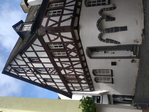 Beidseits der Mosel zwischen Neef und Senheim