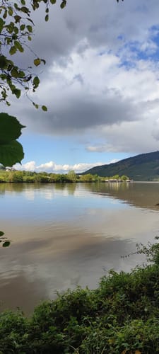 Seitensprung Mehringer Schweiz