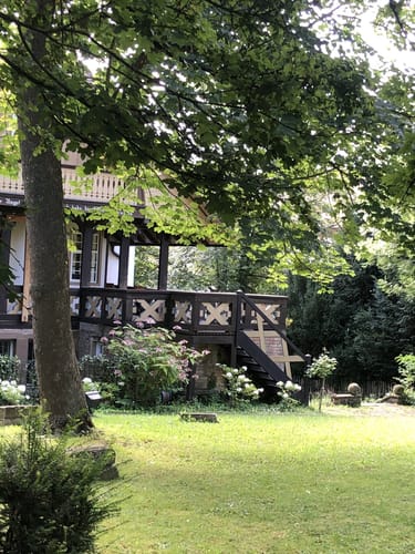 WT1 Zwischen Stadtsee und Waldheide