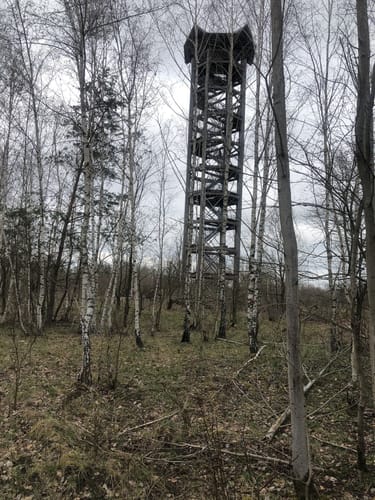 Turmpfad Königsbrücker Heide