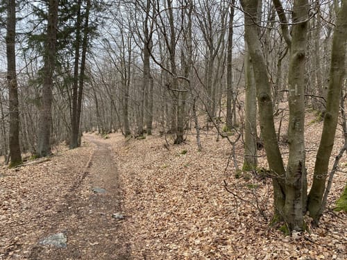 Runde am Teufelsfels