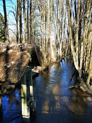 Amelinghausen: Königinnen-Weg