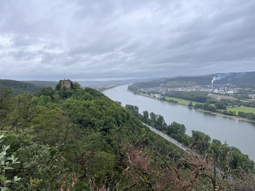 Rheinecker Felsenweg 8