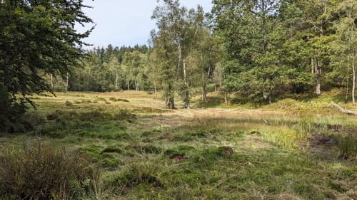 Rundwanderweg Affolterbach 1: Rotes-Wasser-Weg