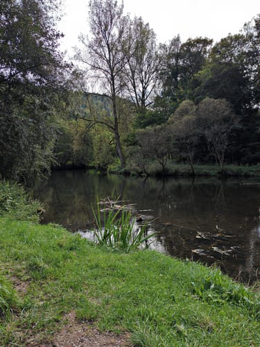 Wildes Monbachtal