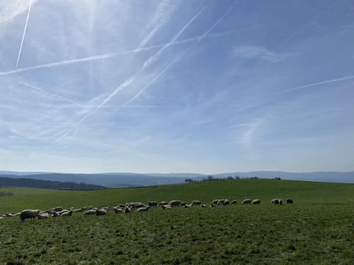 Hasenberg und Michelbachtal