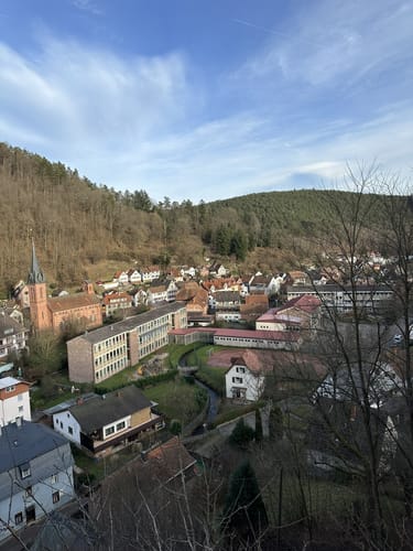 Ehrenfels ab Elmstein