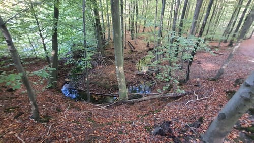 Alle Teiche Strecke