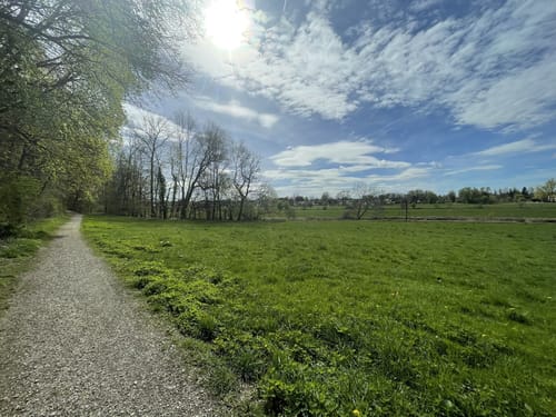 Freisinger Moos ab Altstadt