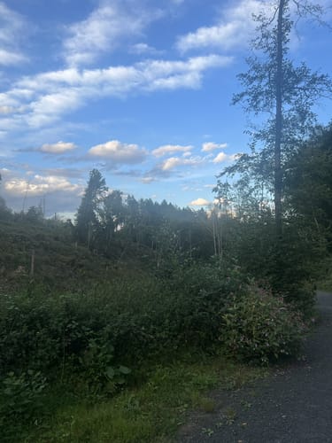 Durch das Muttental