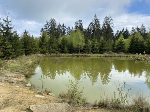 Naturparktrail Südteil-Schwalenberger Wald und Mörth