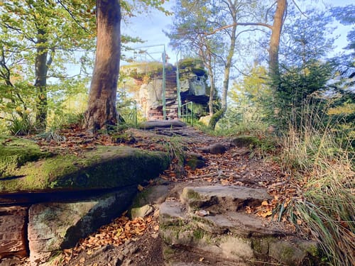 Bärensteig (Premiumwanderweg)
