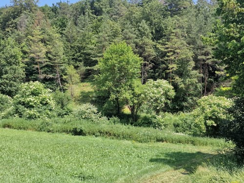 Rundweg Walting 7
