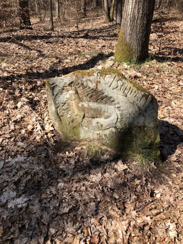 Drei Burgruinen ab Kaiserlautern