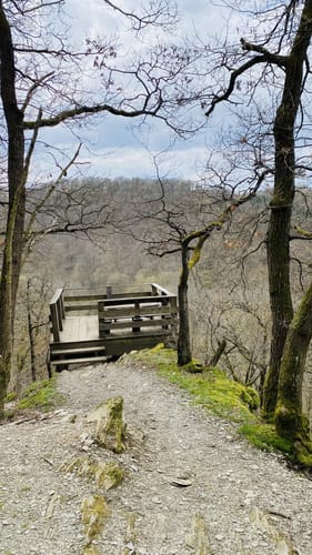 Dünnbach-Pfad (Traumschleife)