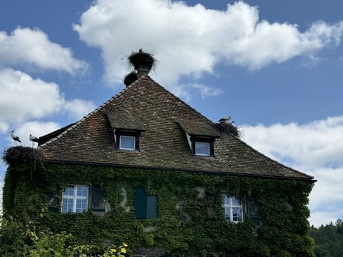 Über den Prälatenweg und rund um den Affenberg