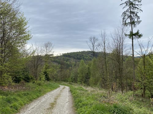 Hermannsweg Etappe 5: Borgholzhausen - Bielefeld