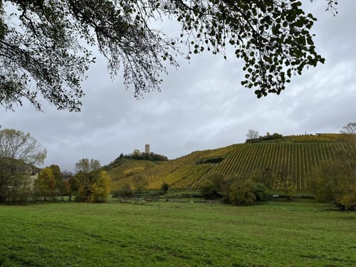 Rheinsteig Etappe 20: Kiedrich - Schlangenbad
