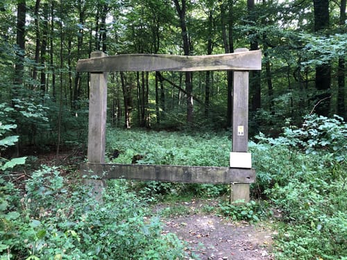 Rundweg Teufelsbrücke - Rodenberger Höhe