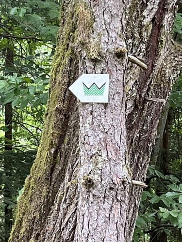 Herzog-Jäger-Pfad (Premiumwanderweg)