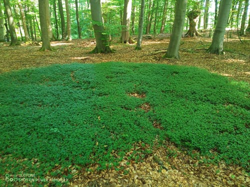 Archäologischer Wanderweg bei Jexhof
